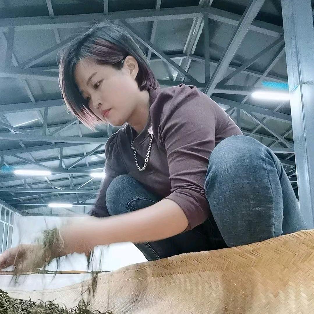 鸿韵-普洱茶山头纯料批发