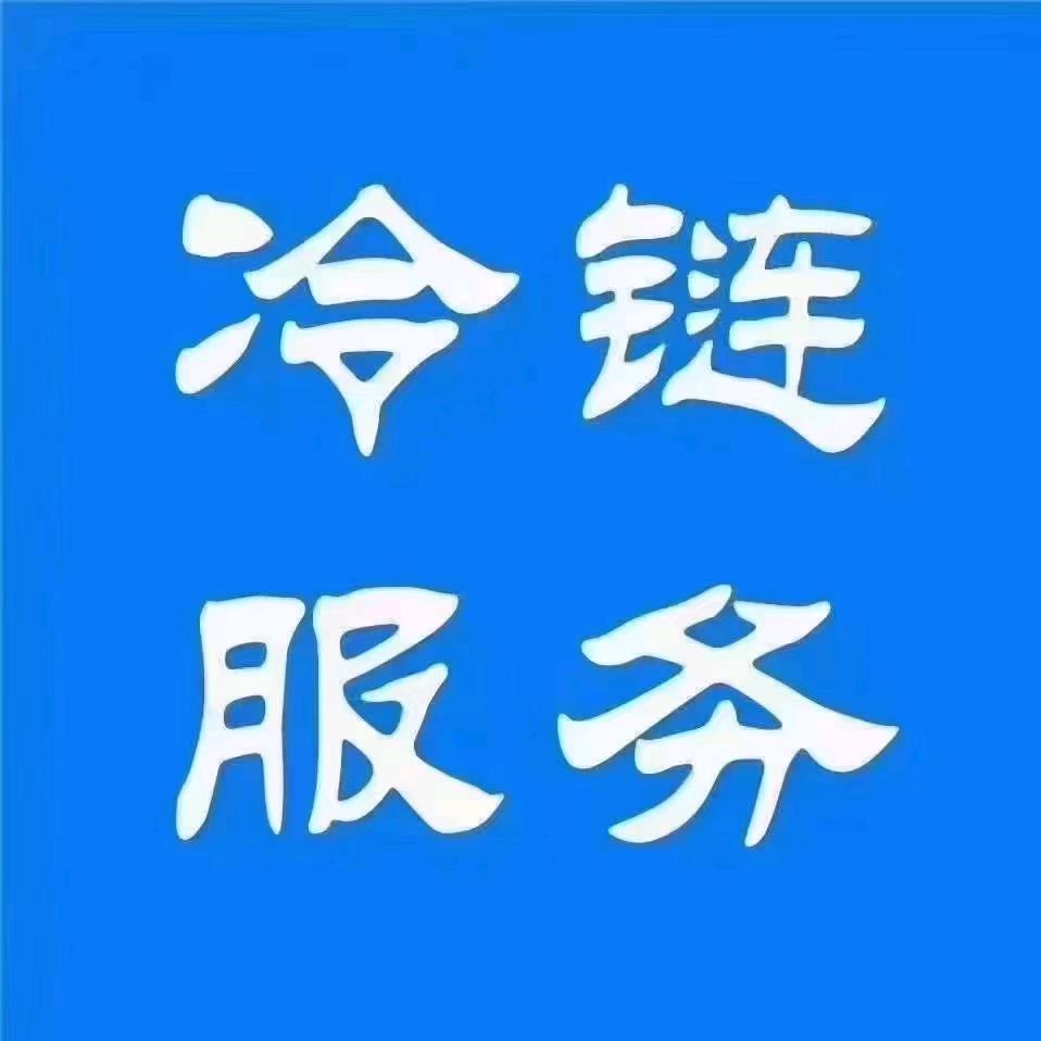 飞驰冷链车队