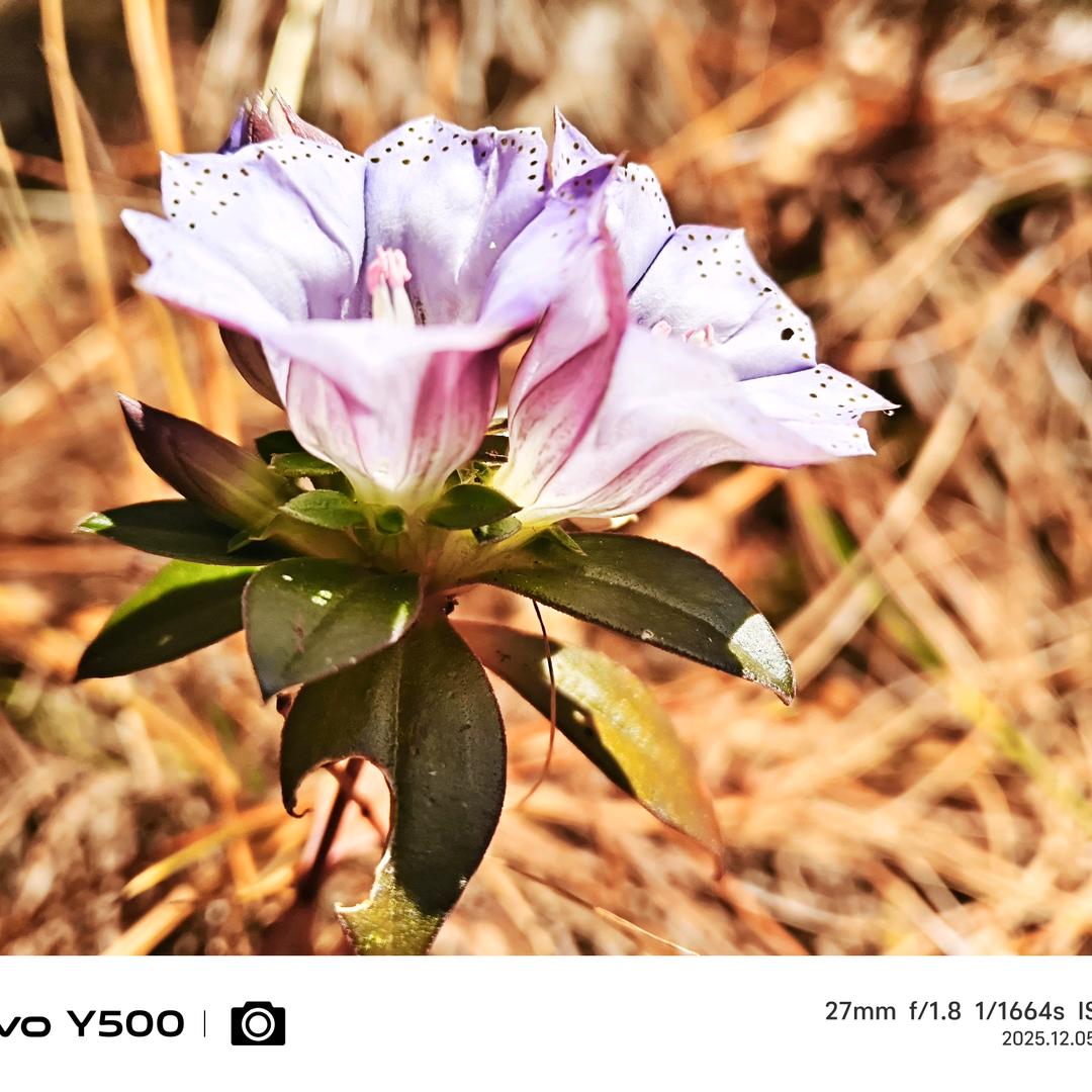 燚个柒《摄影》