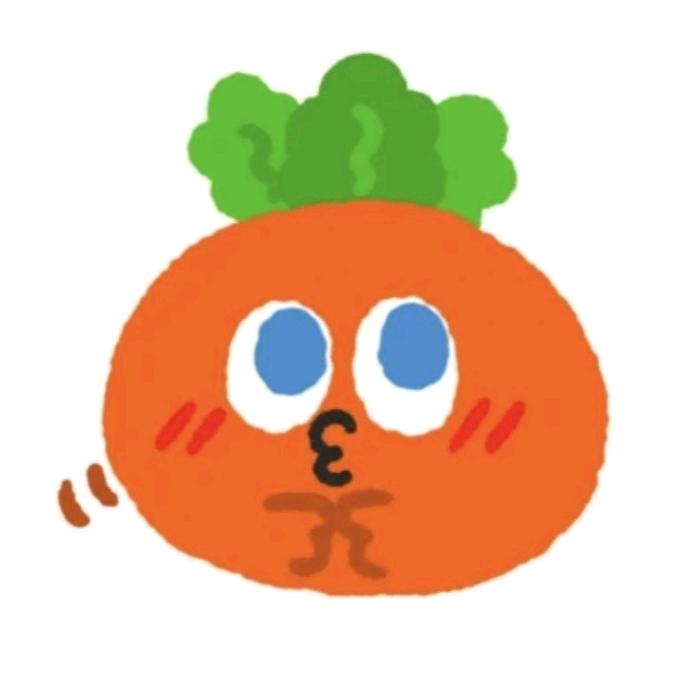 胡萝萝卜卜卜🥕