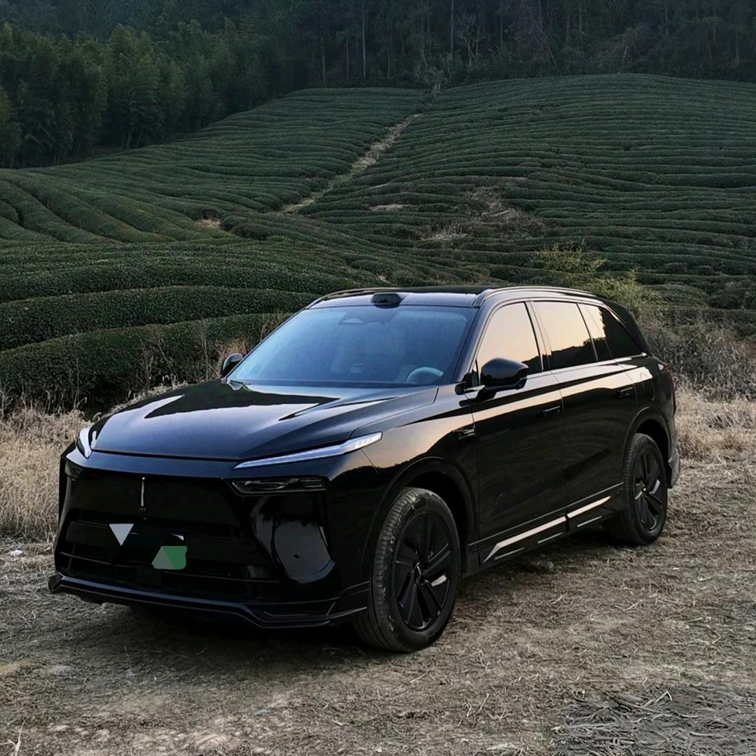 魏牌新能源-七五