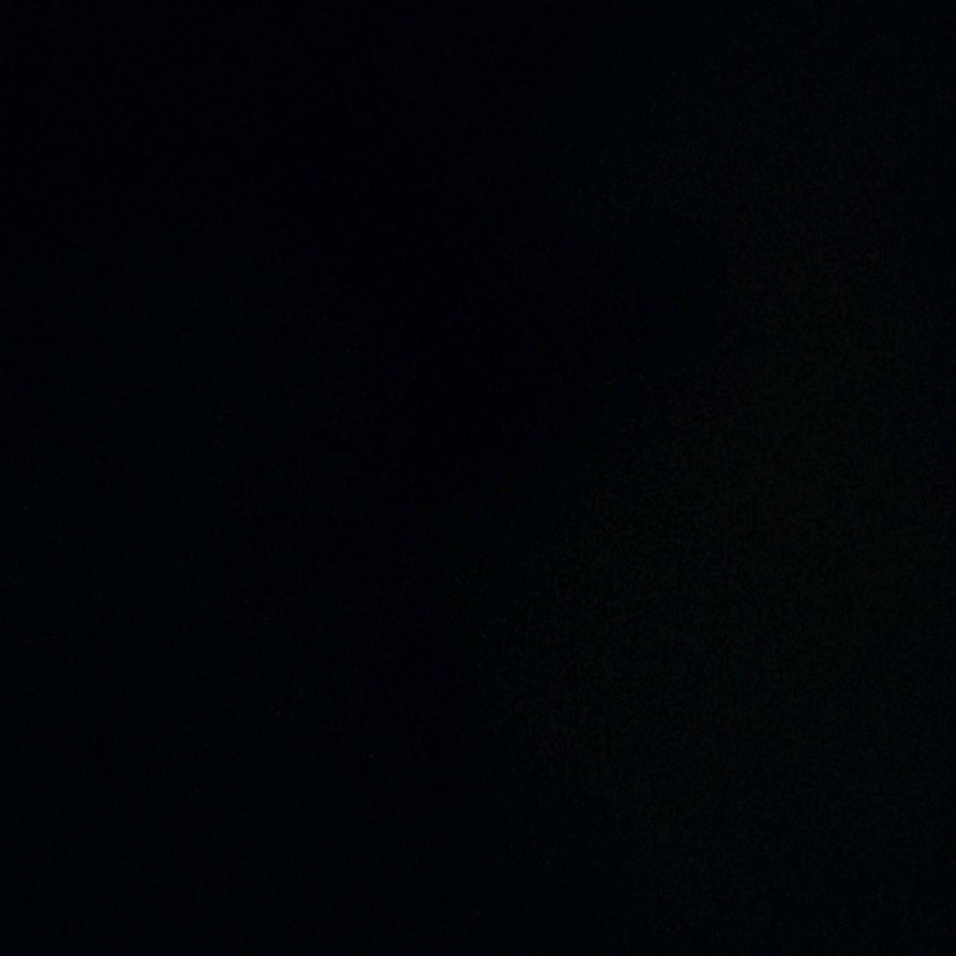 🌹🌹🌹🌹🌹🌹