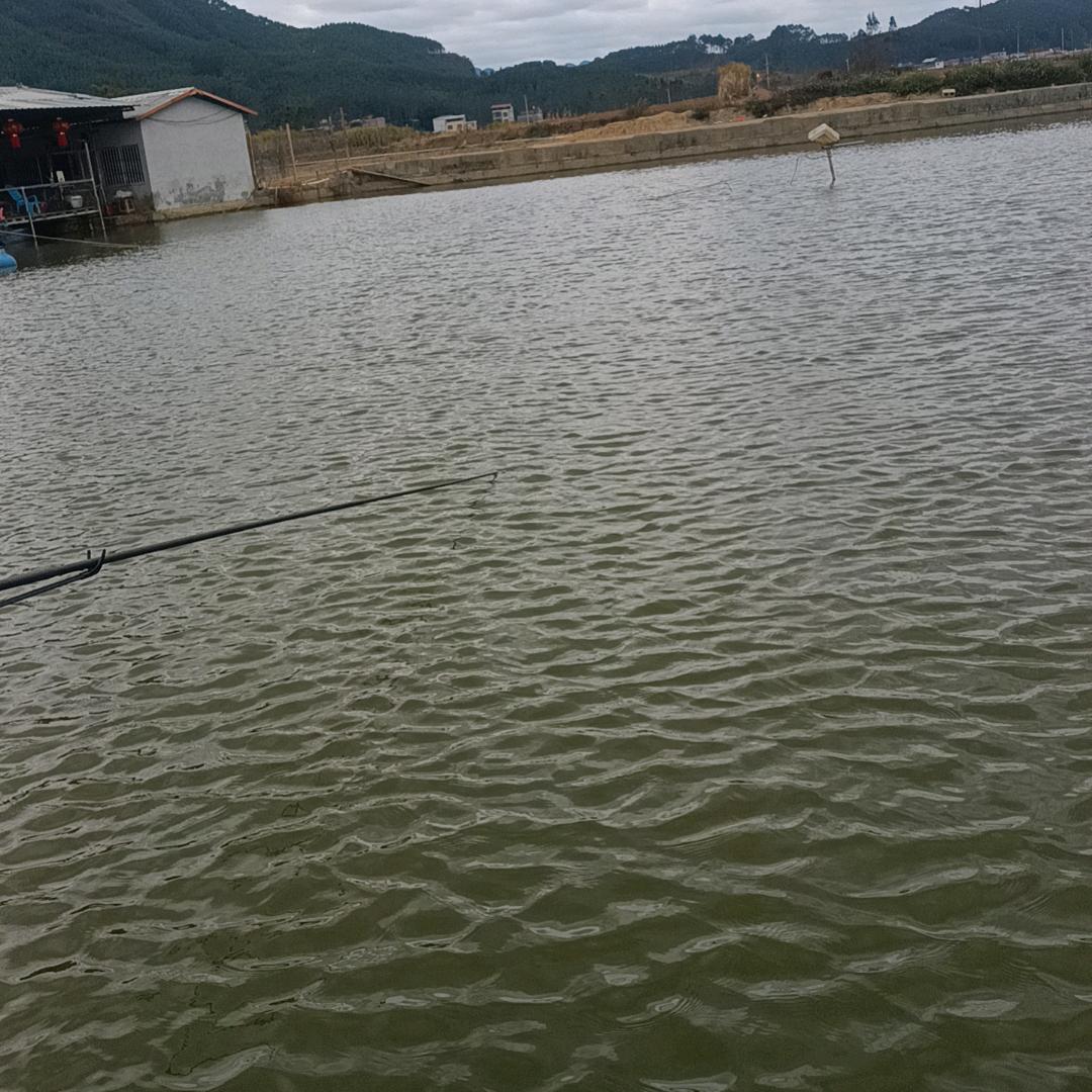 生无可恋