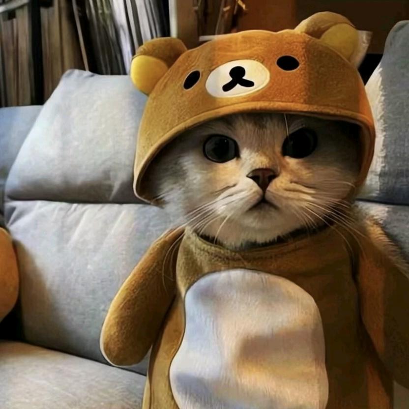 半个深情梦