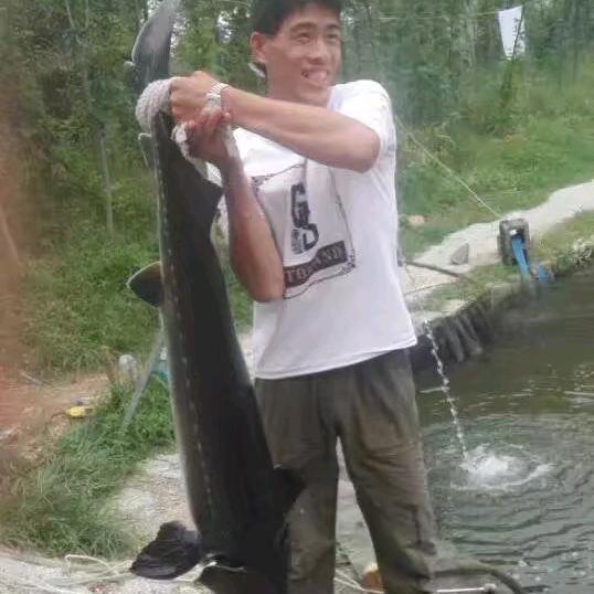 刘铭钓鱼（渔具钓具测评）