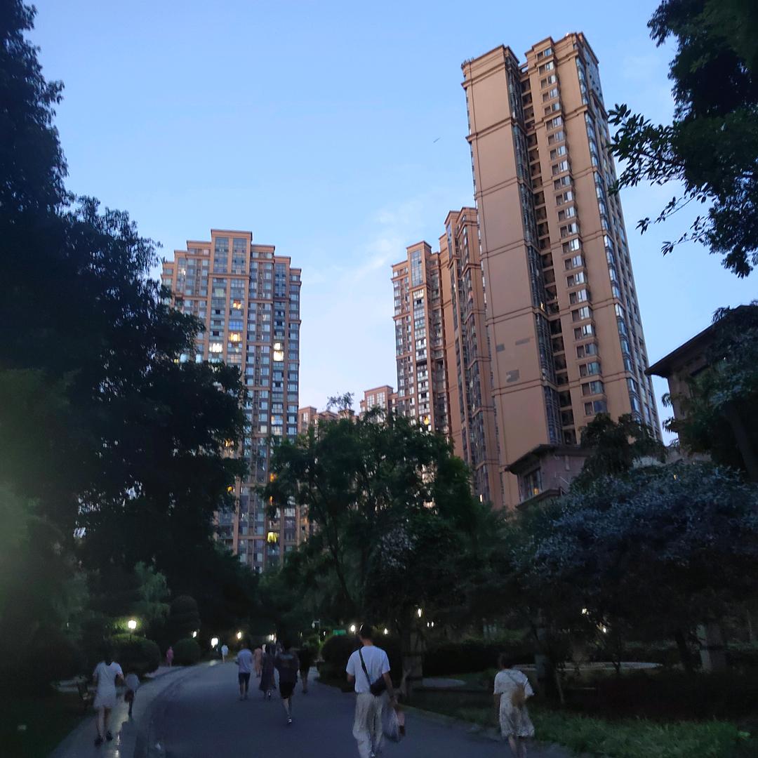 《起风了》风里已经有秋天的味道