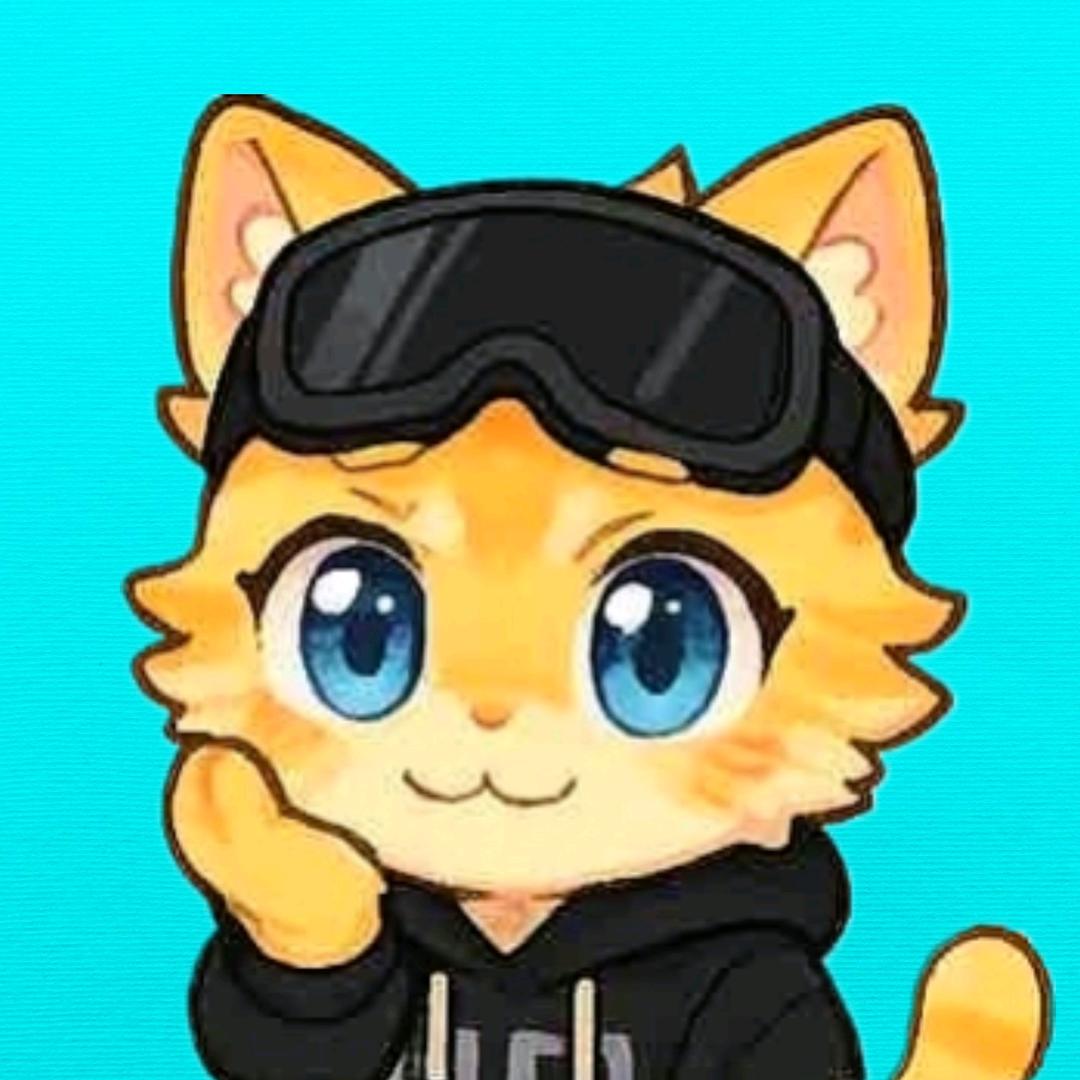 猫先森哦