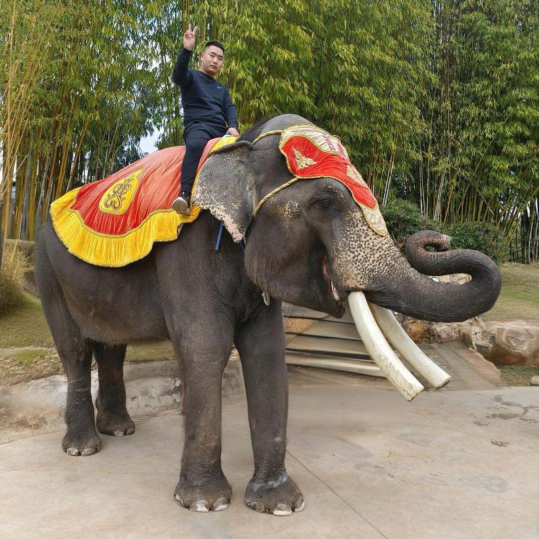 西安三合居PVC装饰材料有限公司