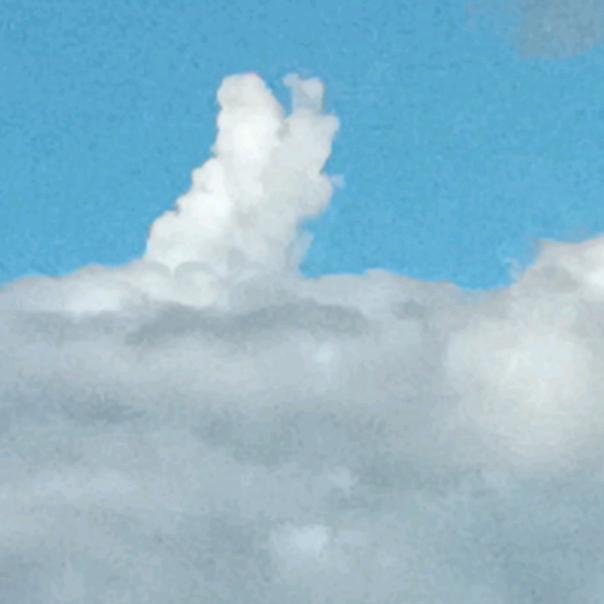 道法自然
