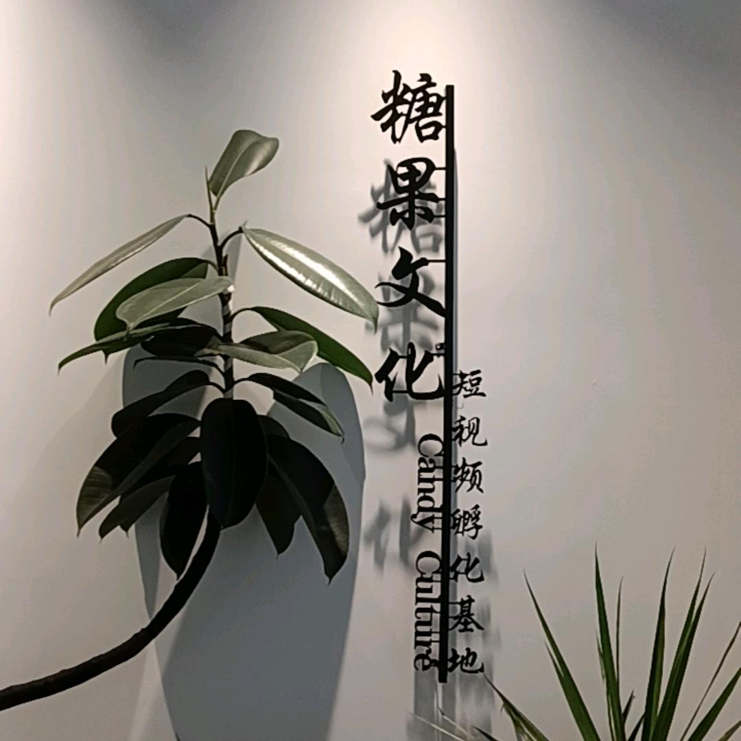 糖果文化-女装切片授权