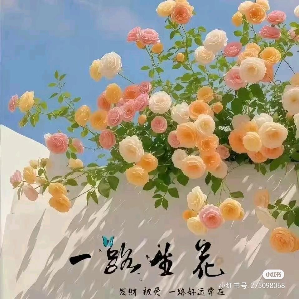 ✨安静³⁷⁷
