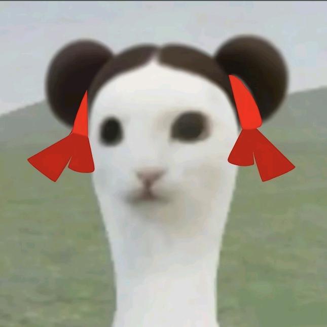 17^
