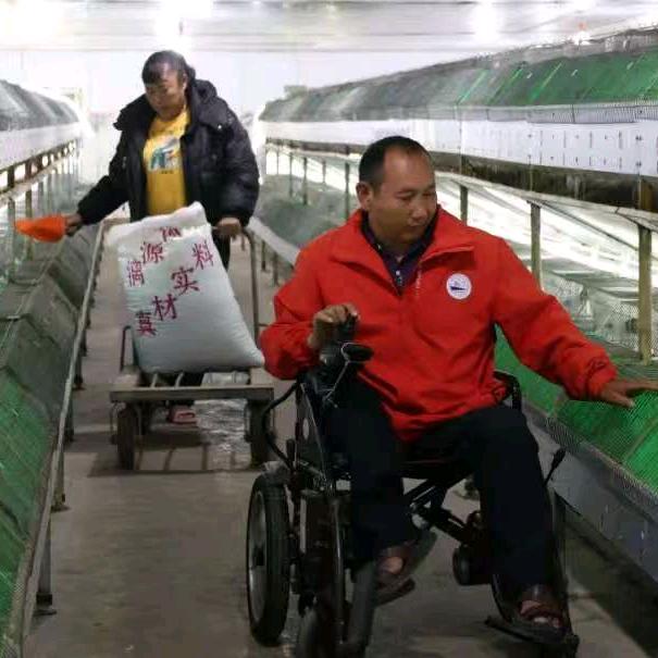春花残疾人养殖