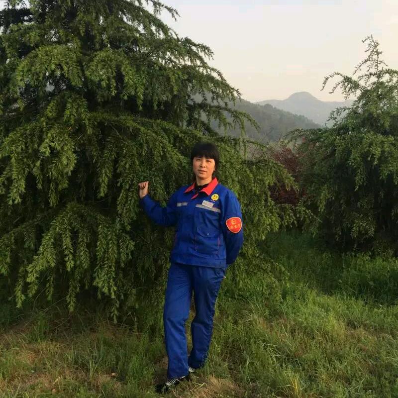 买茶叶找我源头厂家