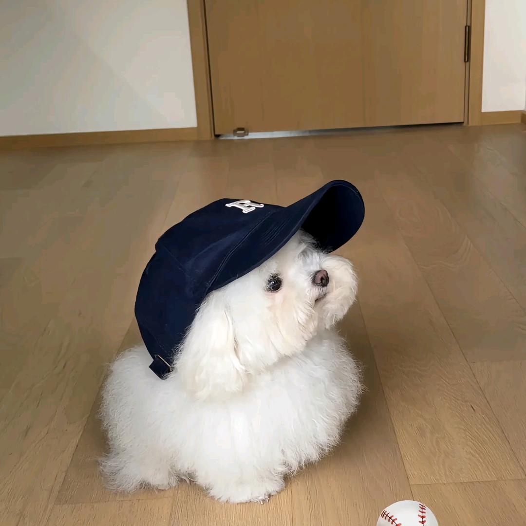 炒栗子