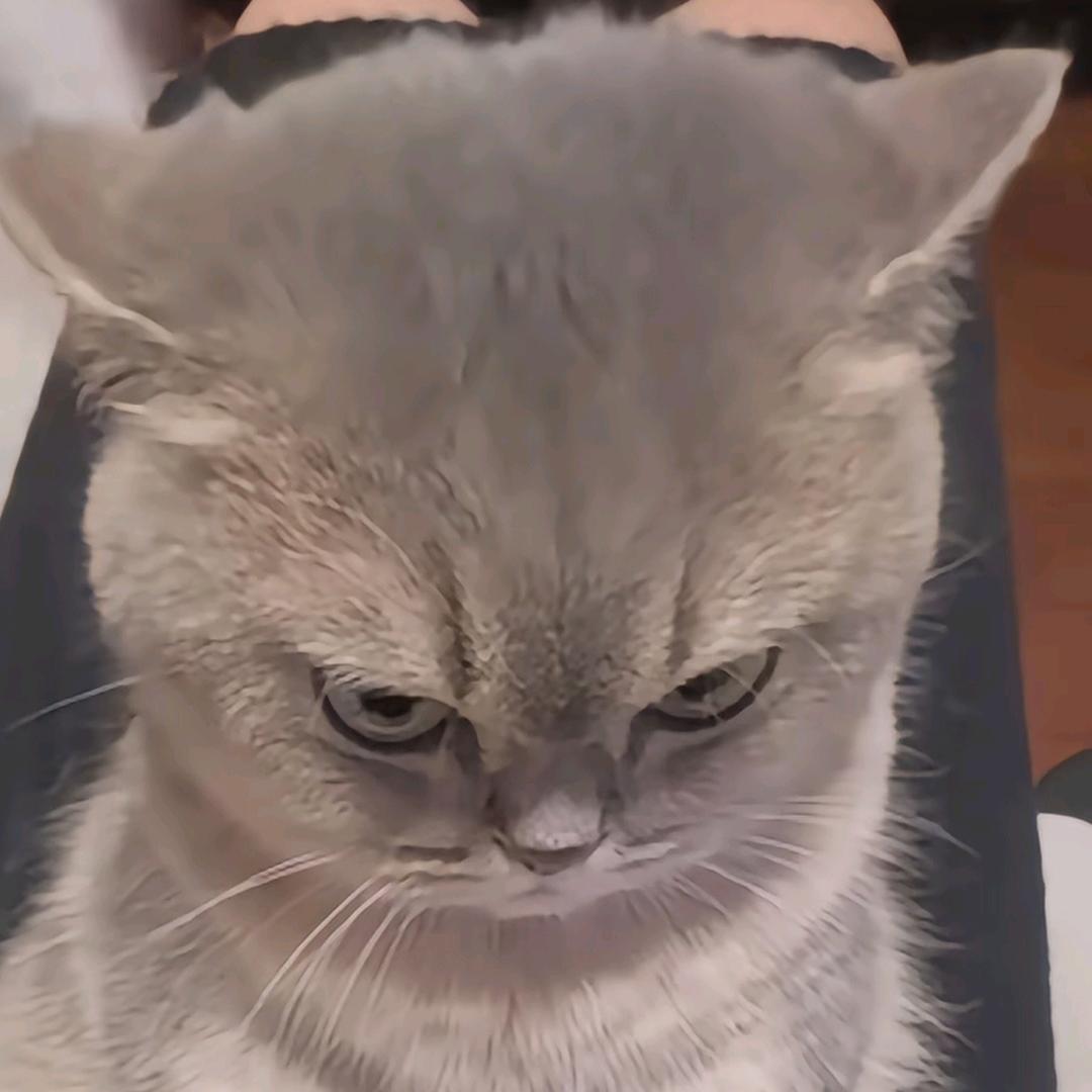 小鱼儿