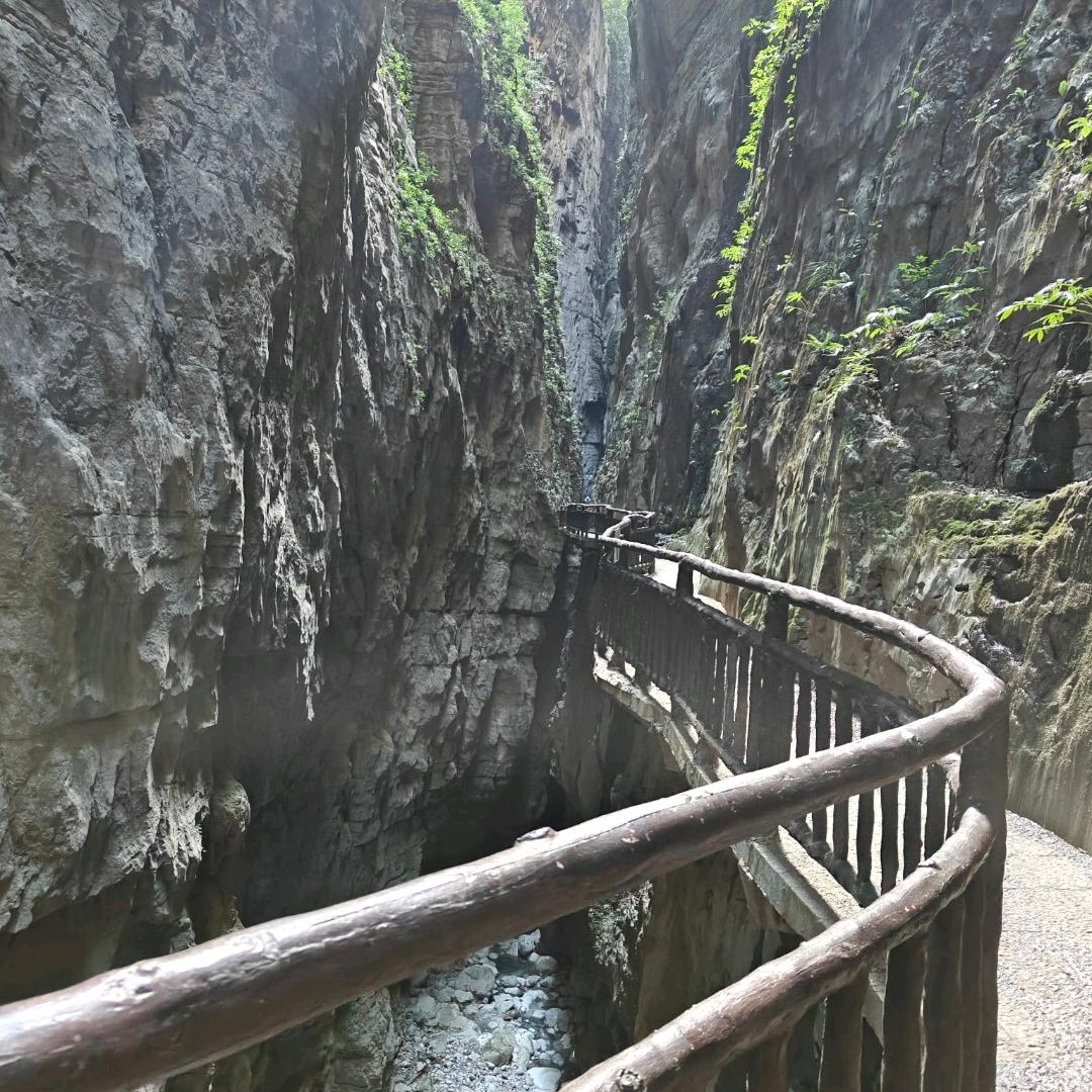 玲姐