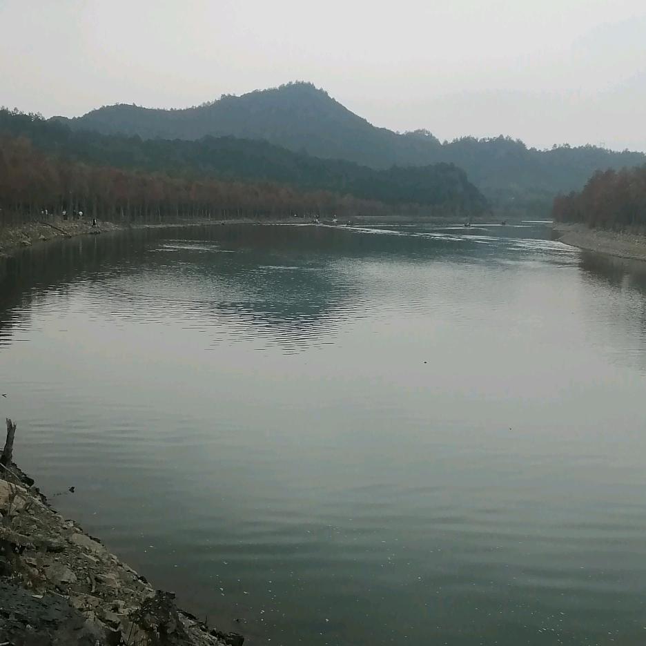 🌷🌷我爱我家🌹🌹