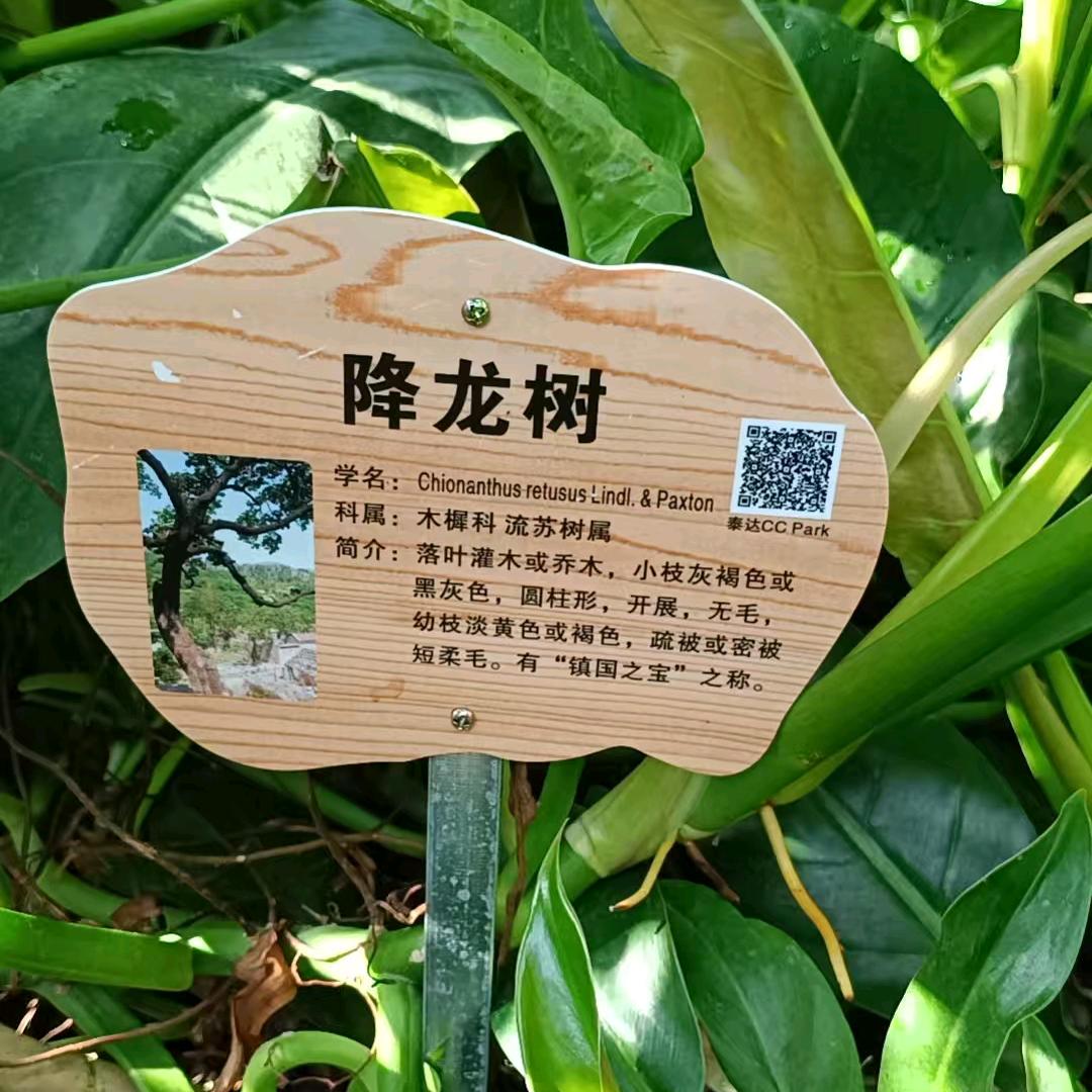 玄玖