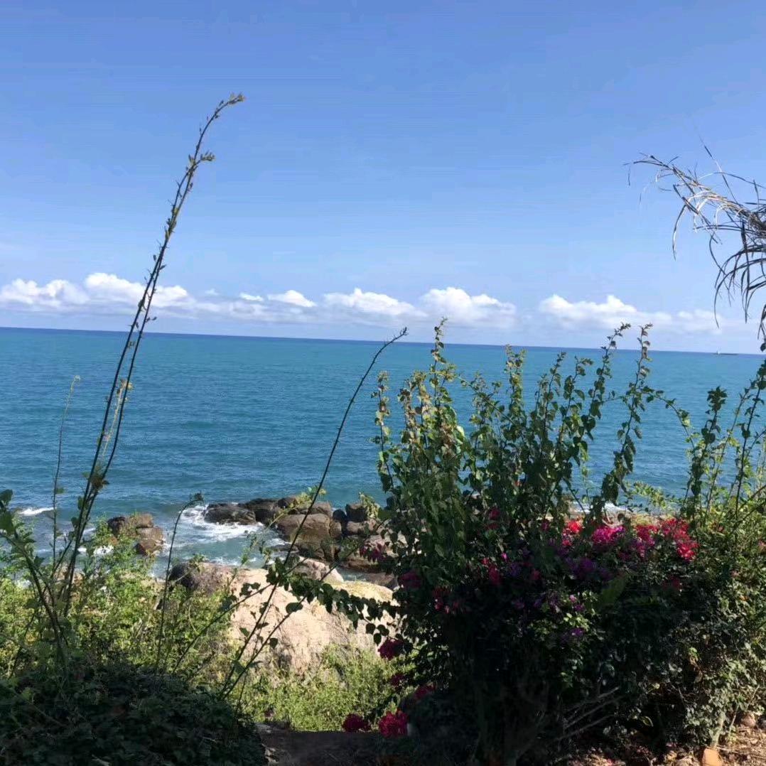 镜中花   水中月