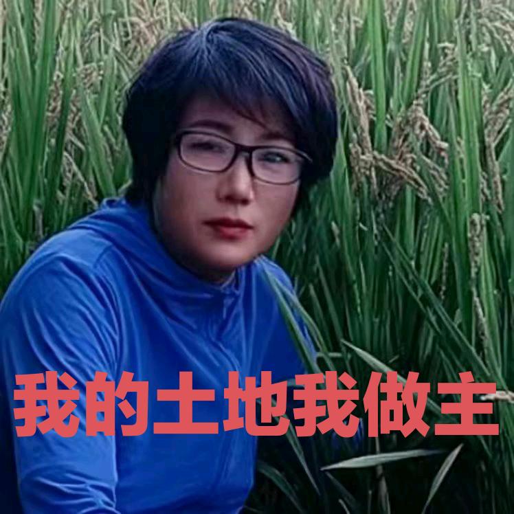 有因必有果，辽宁盘锦李晓娟