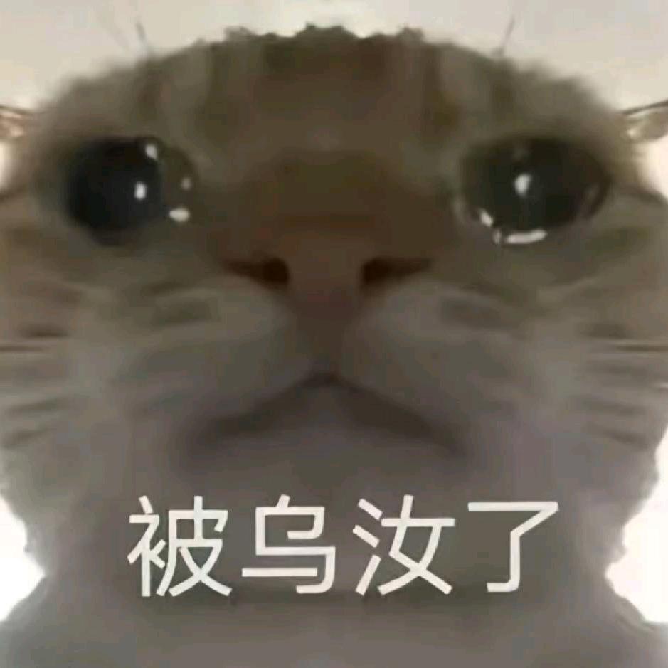 心心来了哦