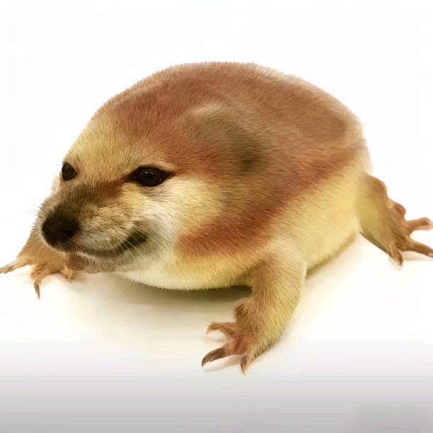 九天