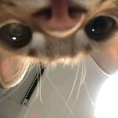 取名都被占