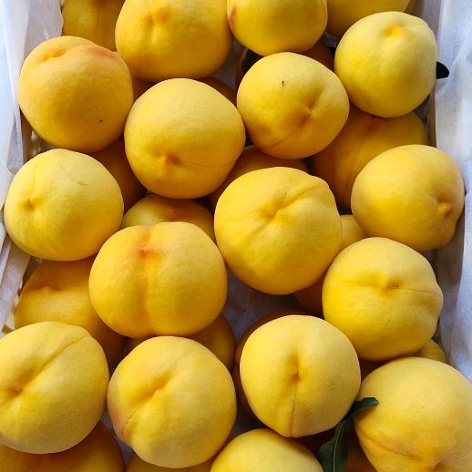 红桃♥️♥️♥️♥️♥️❤️