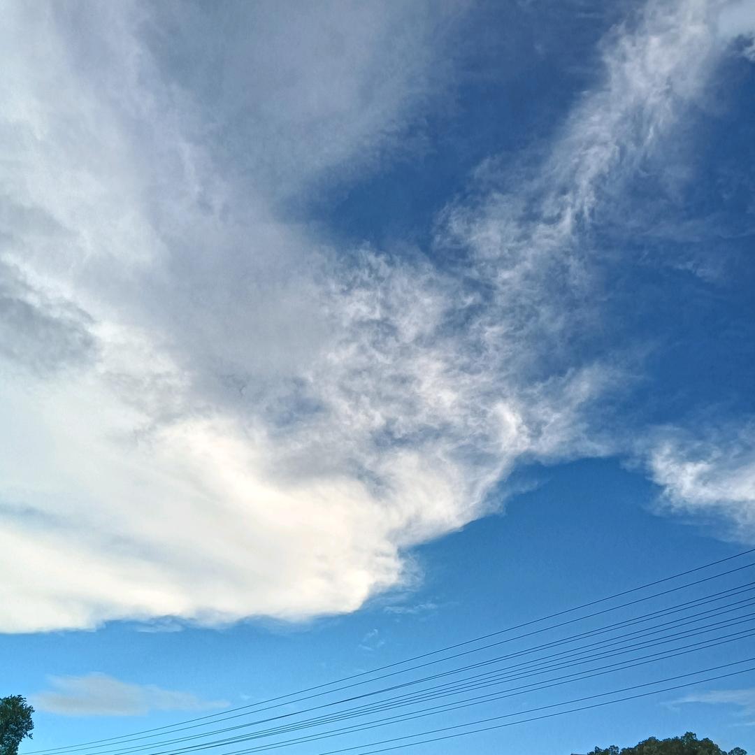 我只爱叶梦宝宝