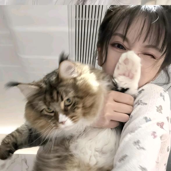清纯女不高
