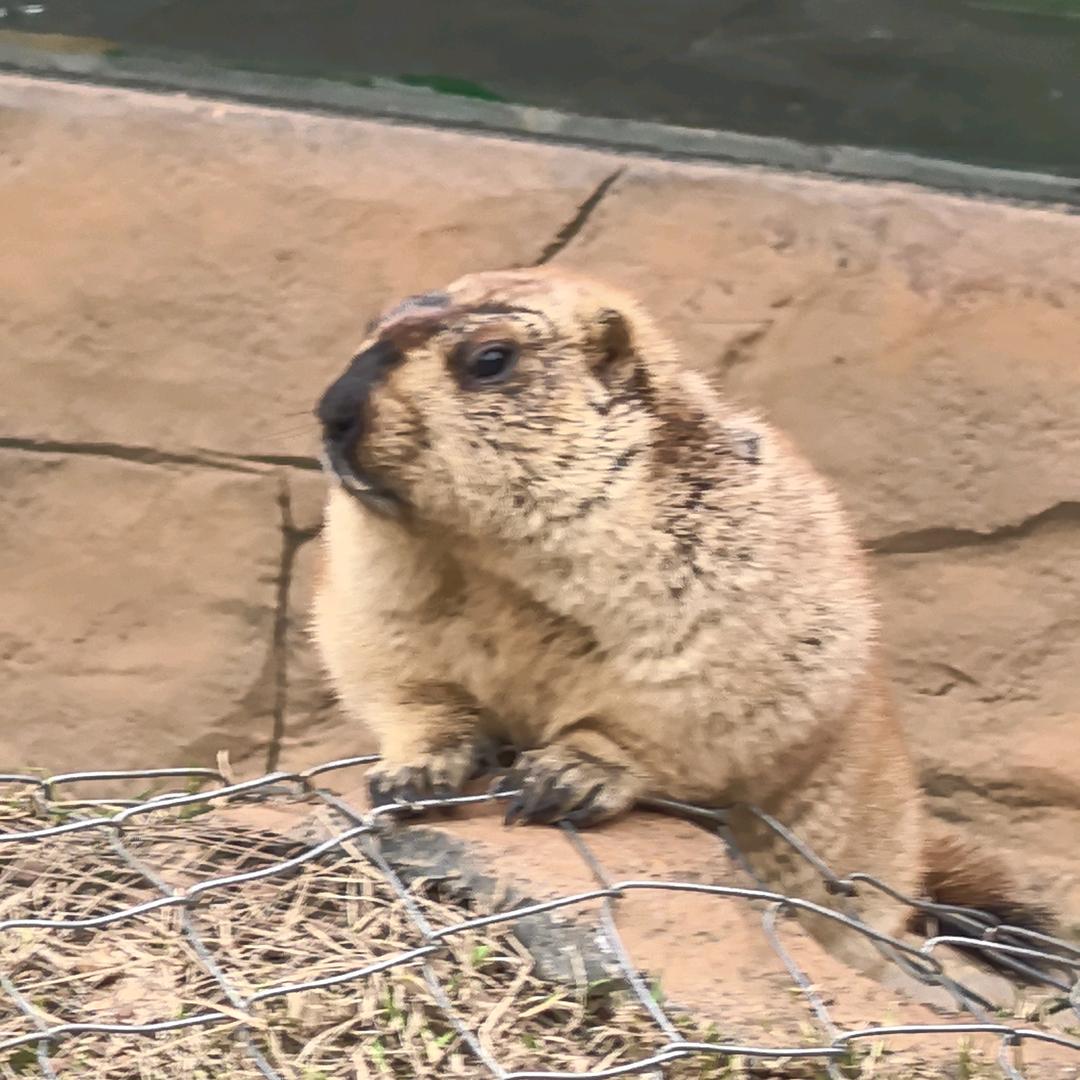 周一