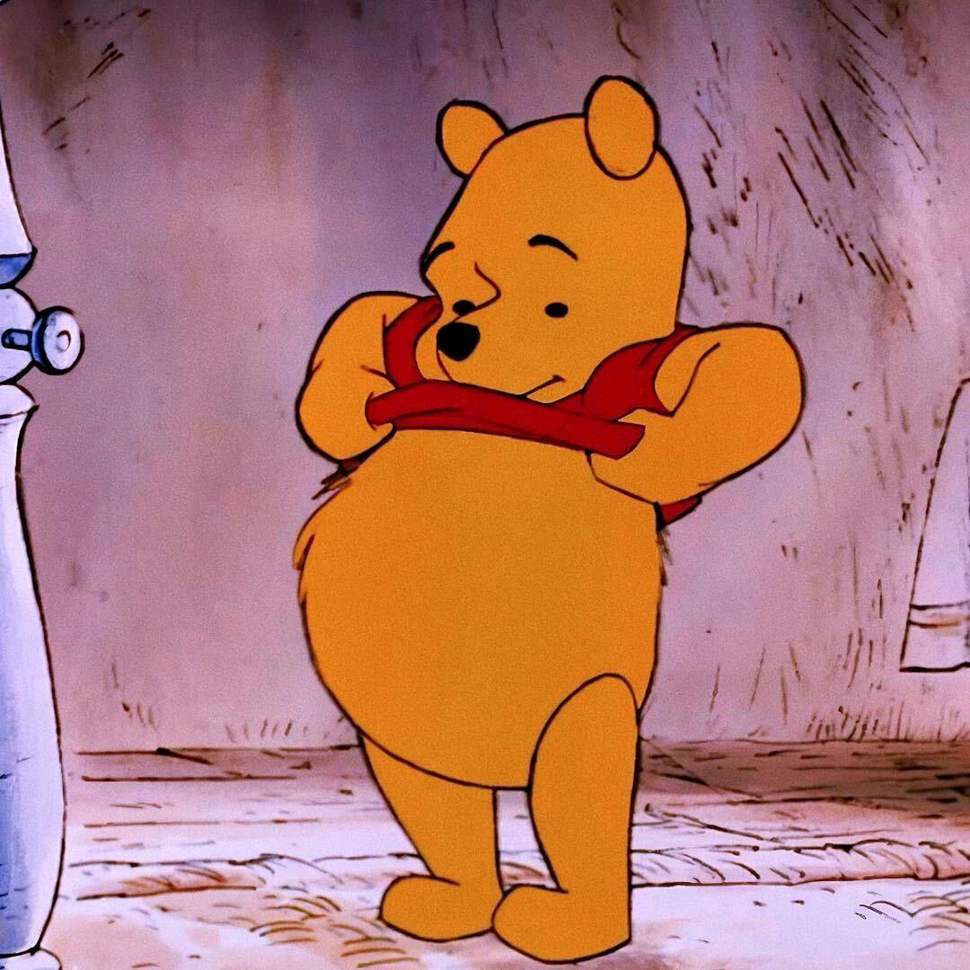维尼熊Z