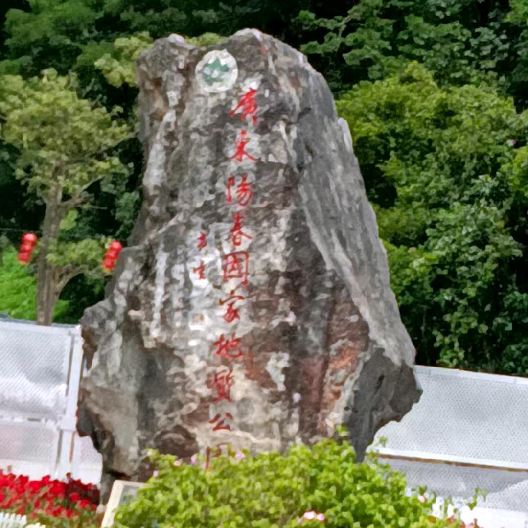 人生若只如初见A