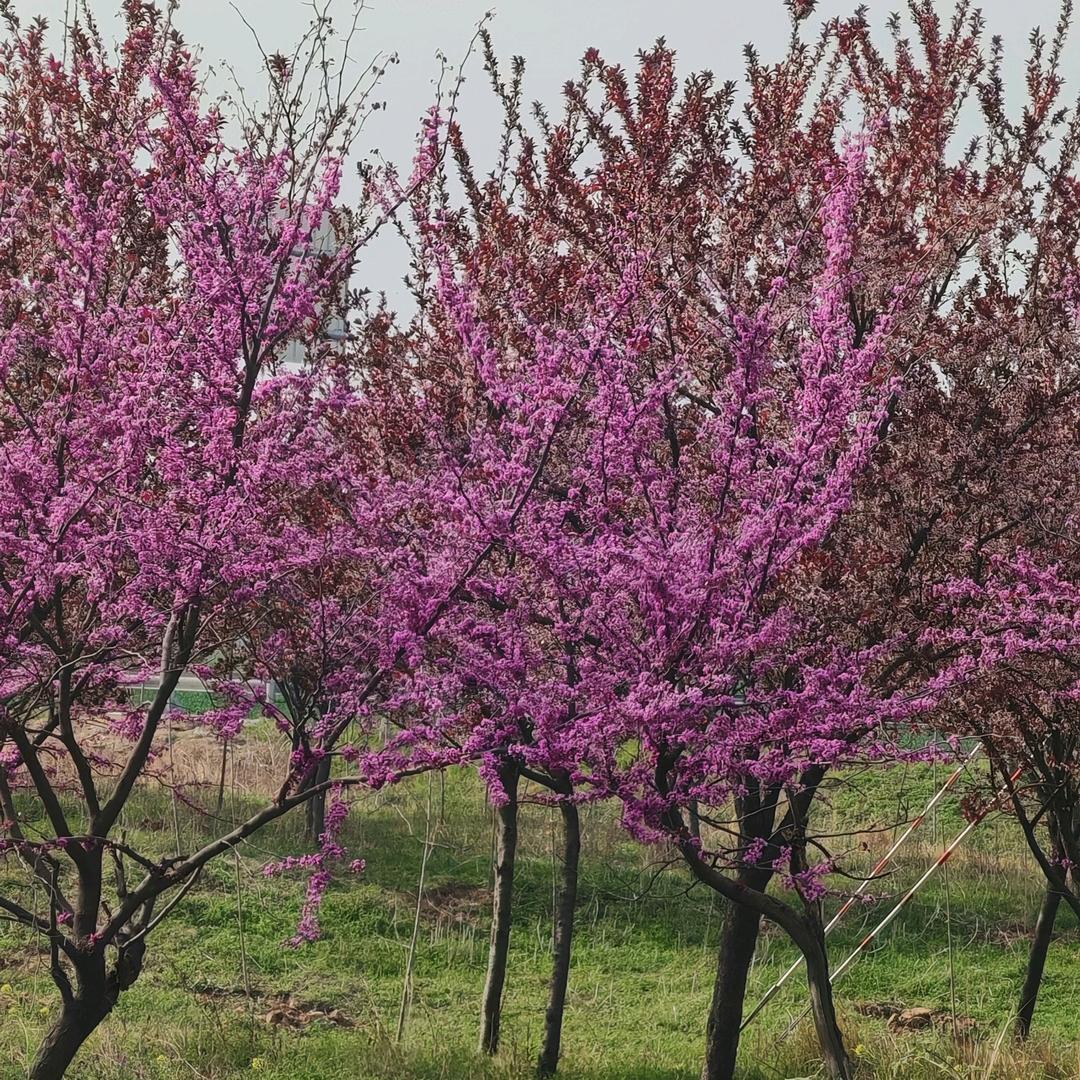 加油，加油