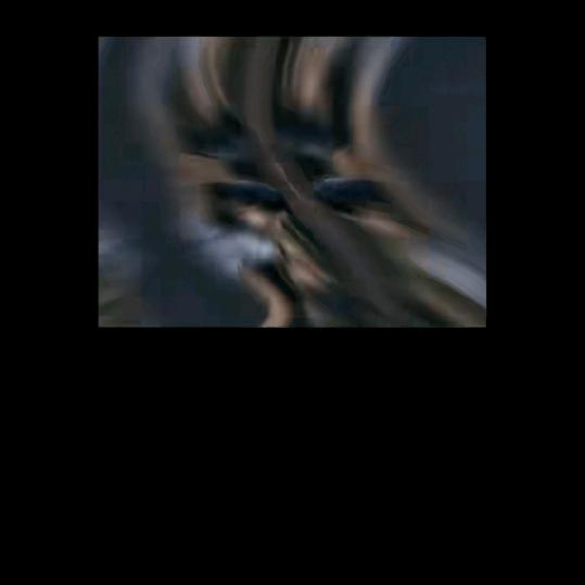 ………