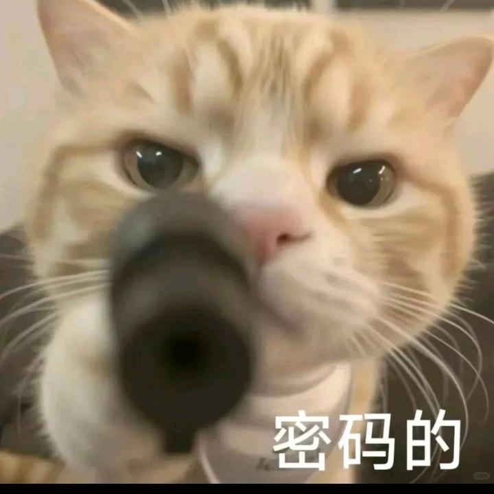 小熊（三角洲行动）