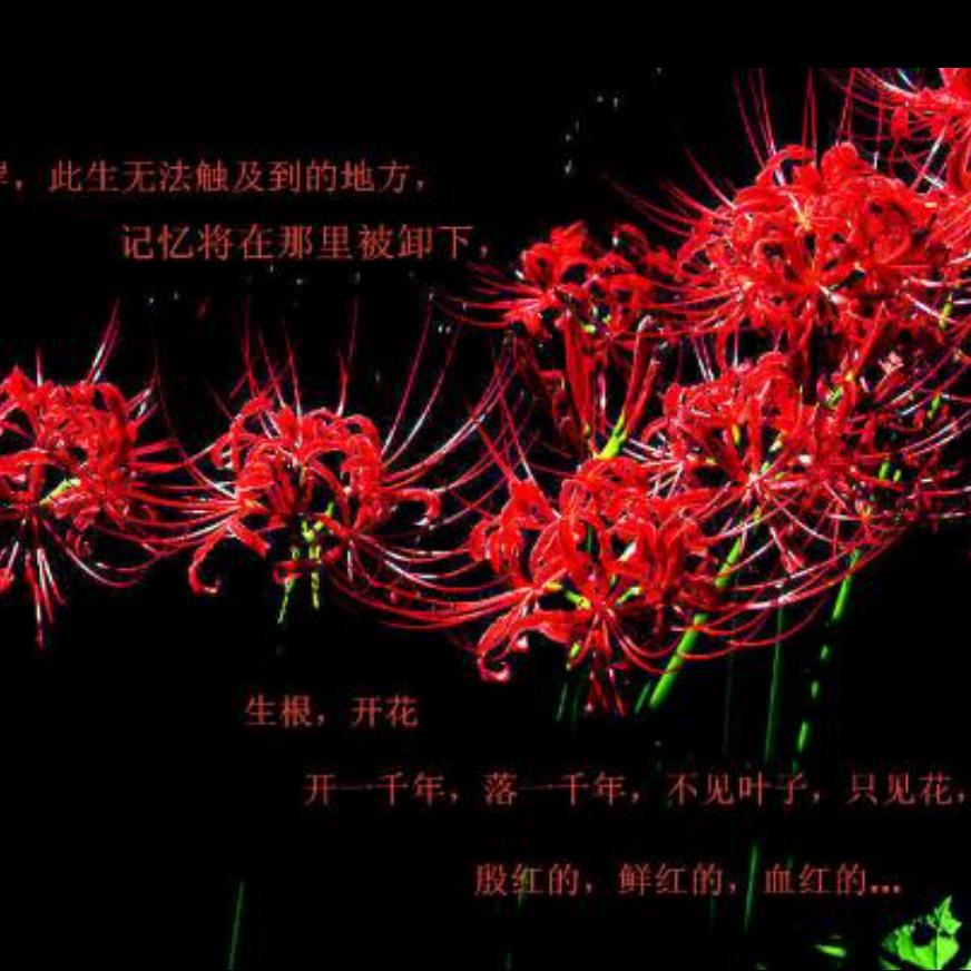 💞ℒᎭℯ⃝妮ᩚᮨ໌້࿐