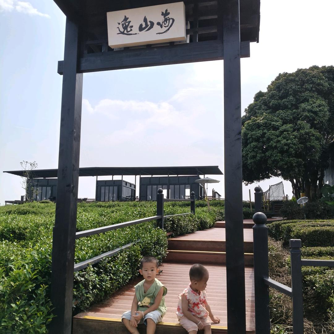 老张1