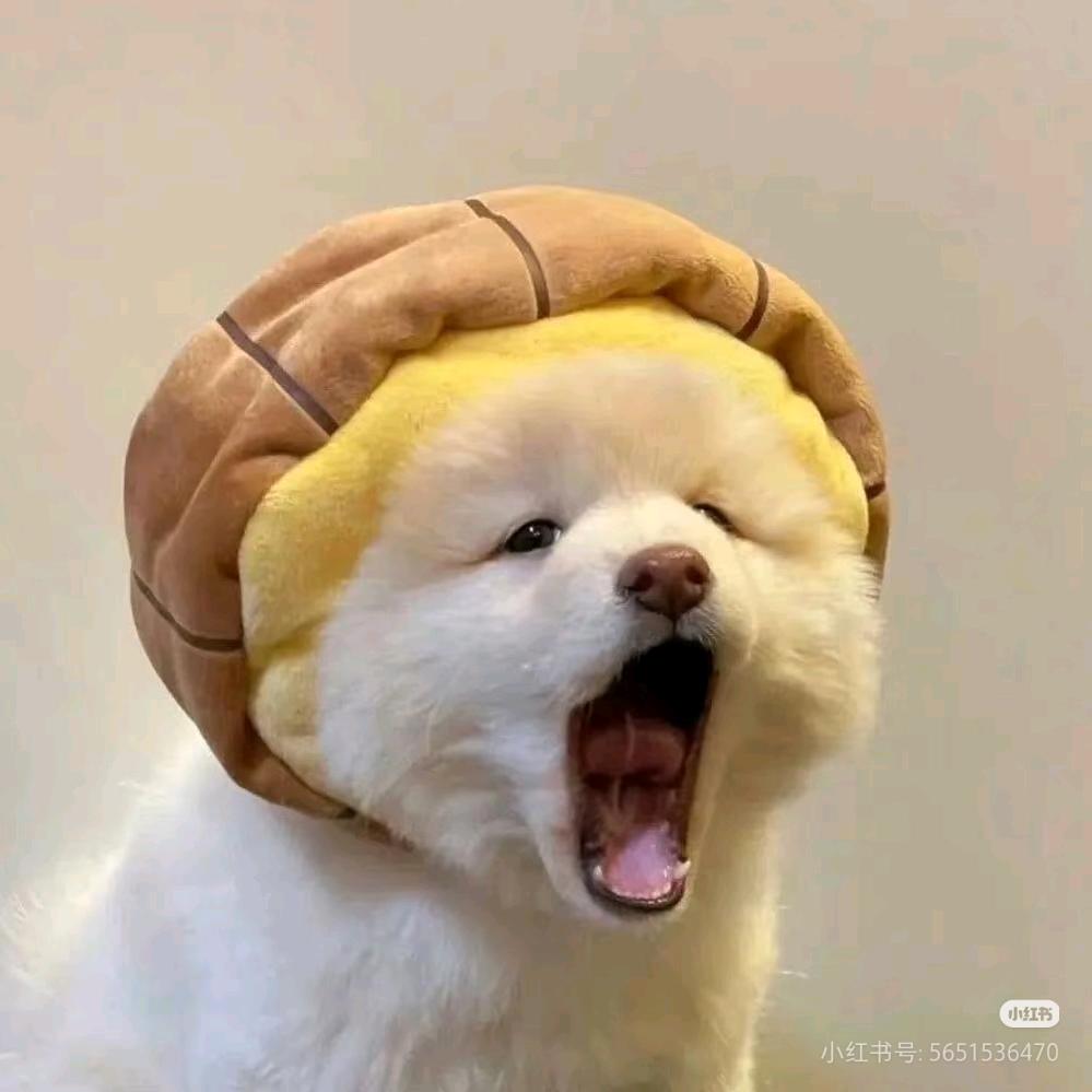你在做咩啊？