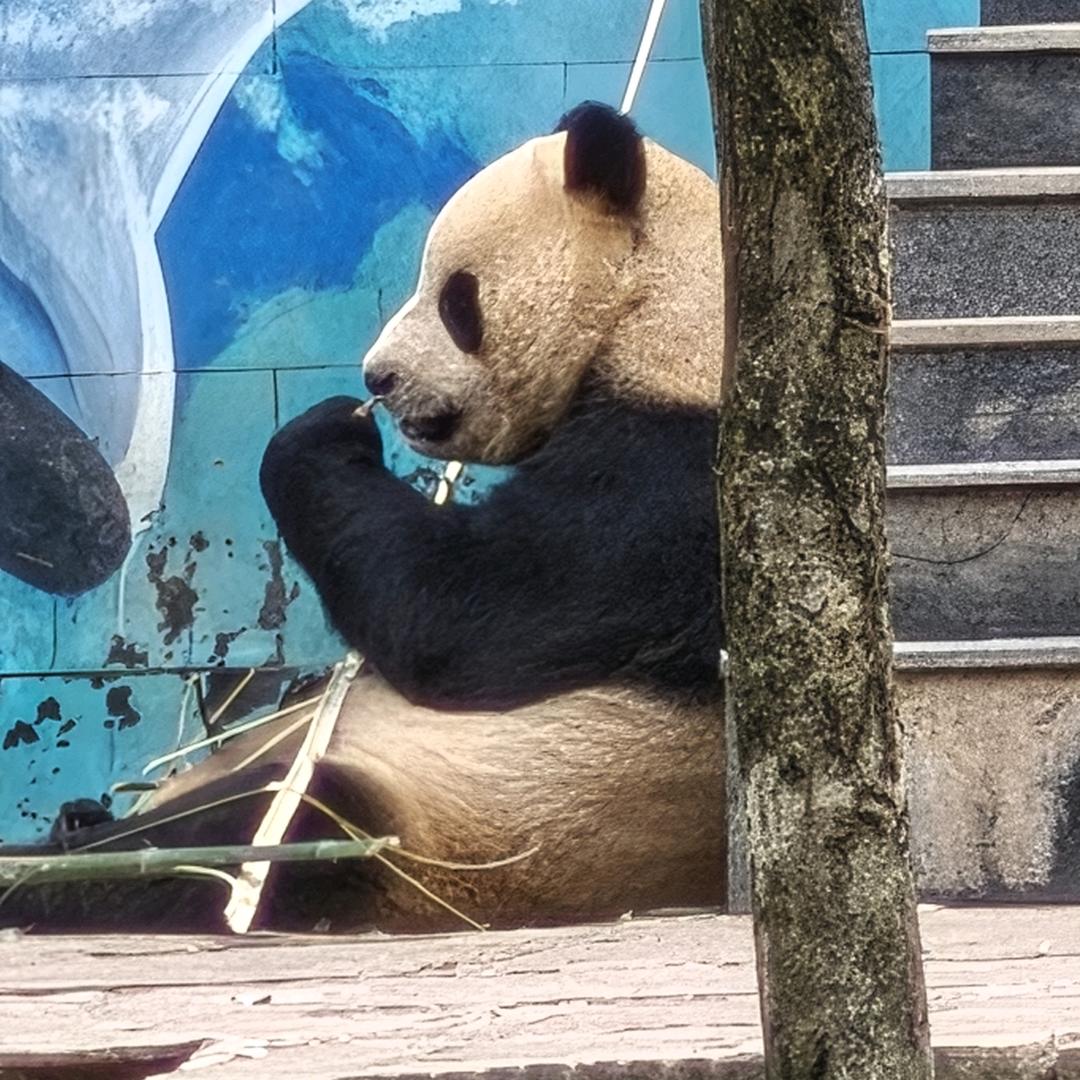 花钱月下