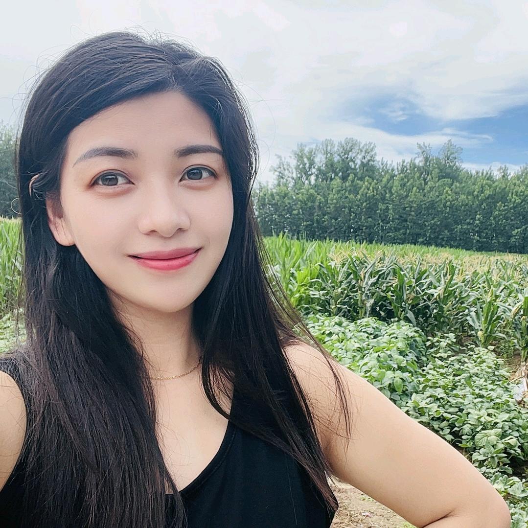南山的雾未散