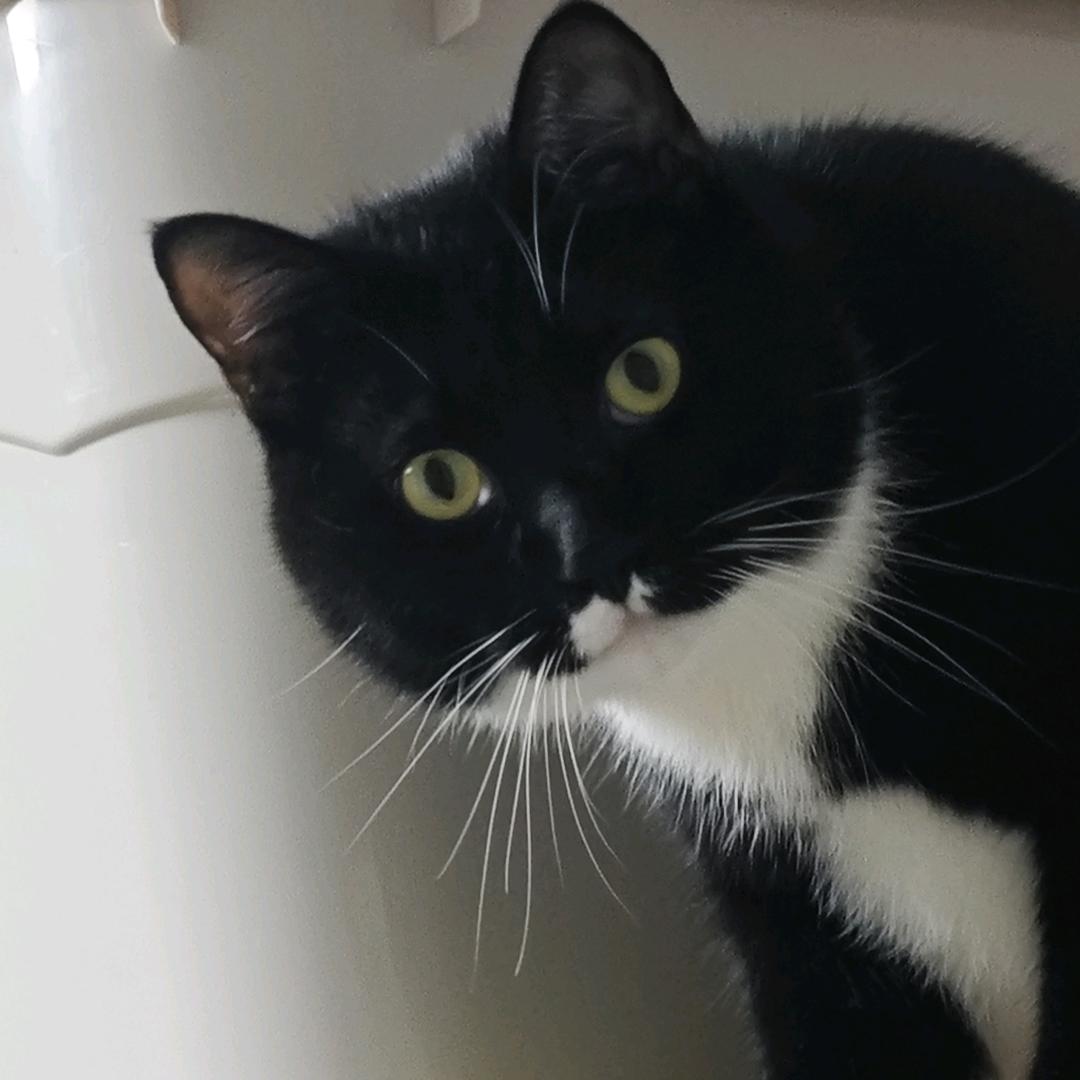 做牛做马的装修小程