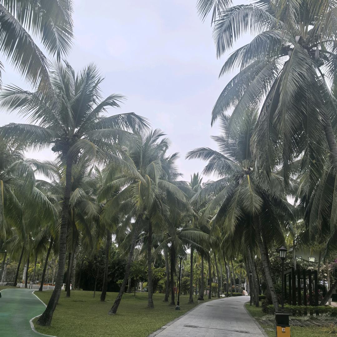 小助理～硕