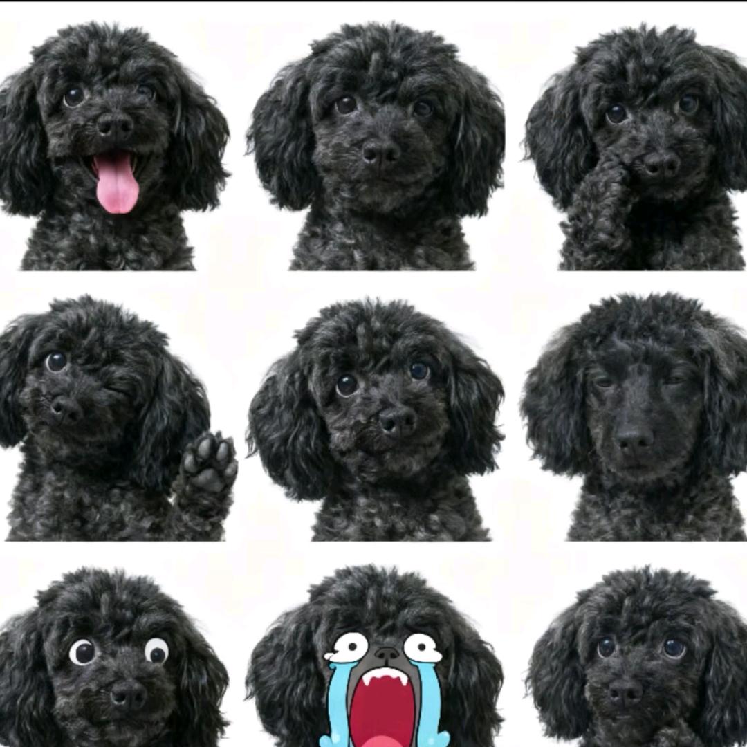 ヾ（四次登船版）