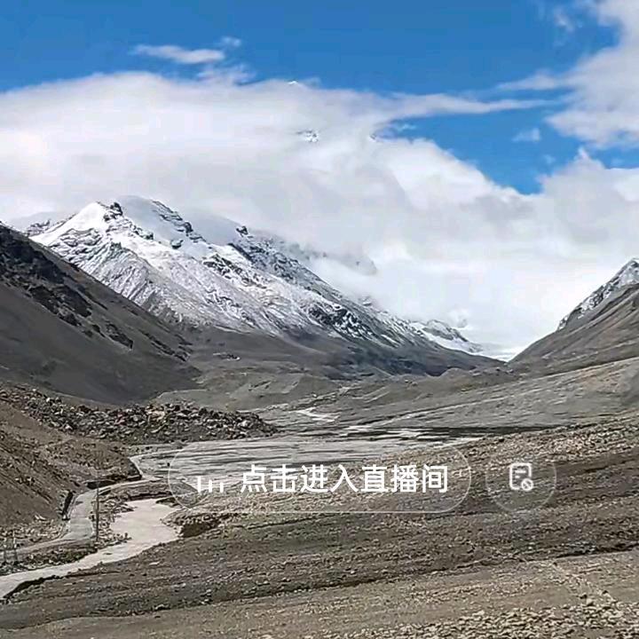 开 心 就 好