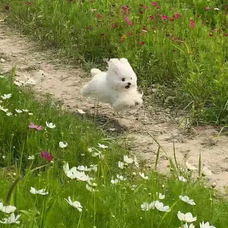 芳华