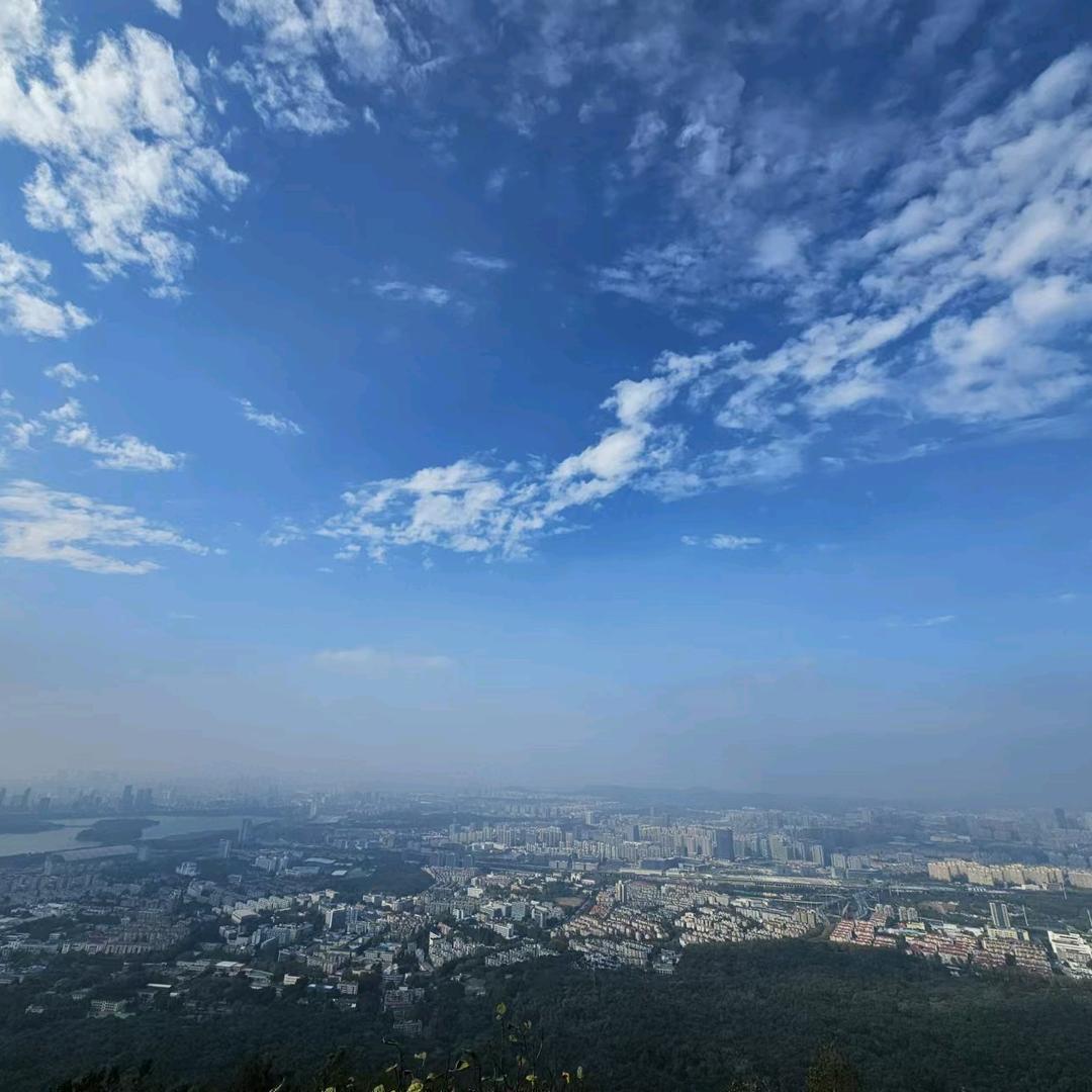 煤老板白天睡觉晚上挖煤