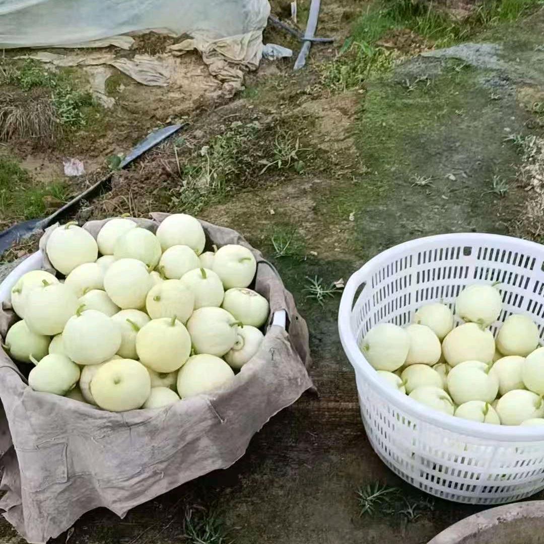 人生有尺