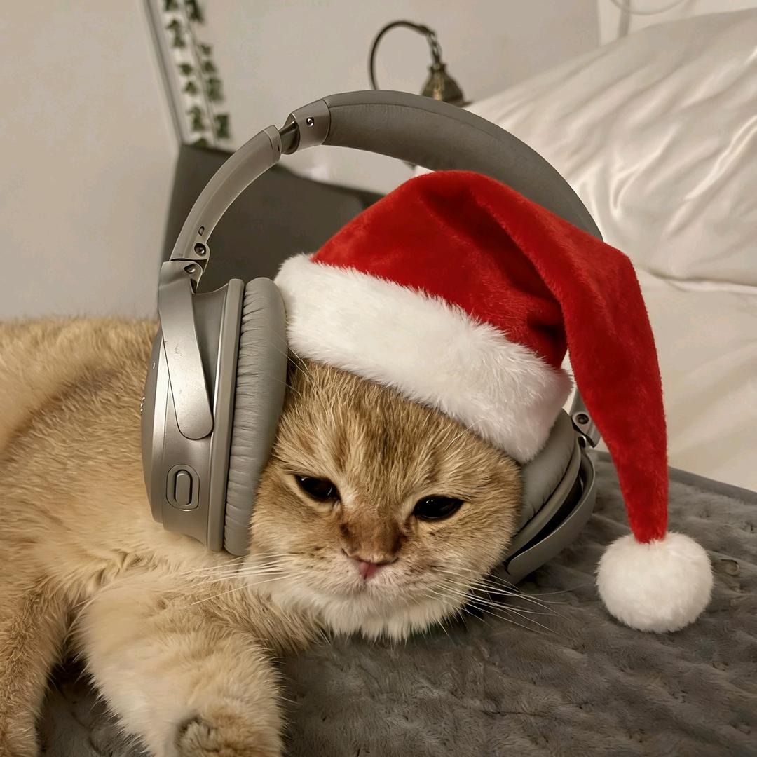 宇宙终究无敌逍遥逆天无畏狂暴战神不灭修罗